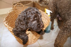 Teal Girl, week 5, 6lb 13oz<br>
 