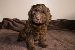 Teal Girl, week 7<br>
 