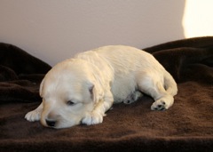 Purple Girl, week 2, 1lb 5oz<br>
 