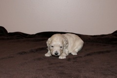 Purple Girl, week 3, 1lb 15oz<br>
 