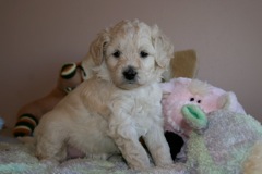 Purple Girl, week 5, 3lb 3oz<br>
 