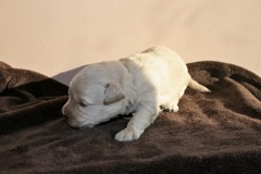 Teal Boy, week 2, 1lb 8oz<br>
 