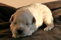 Teal Girl, week 2, 1lb 4oz<br>
 