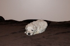 Teal Girl, week 3, 1lb 13oz<br>
 