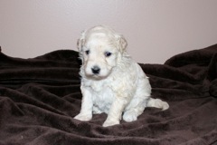 Teal Girl, week 4, 2lb 10oz<br>
 