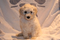 Teal Girl, week 7, 3lb 15oz<br>
 