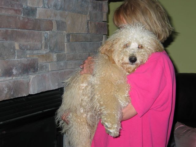 Picture of IMG_3324<br>What a baby!
 