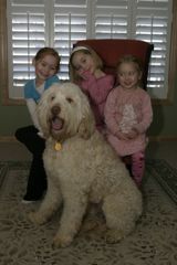 Picture of Conner, an Australian Labradoodle, with his family.
