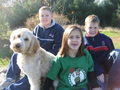 Picture of Lovey, an Australian Labradoodle, with his forever family
