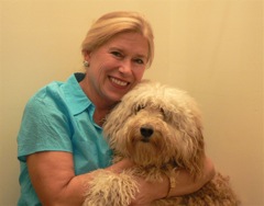 Picture of Australian Labradoodle