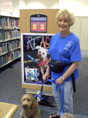 photo of Rosie, an australian labradoodle therapy dog